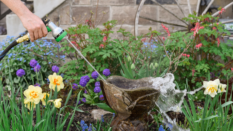 A woman's hand with a hose cleaning a birdbath in a garden