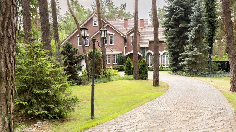 Long cobbled driveway leading to a house
