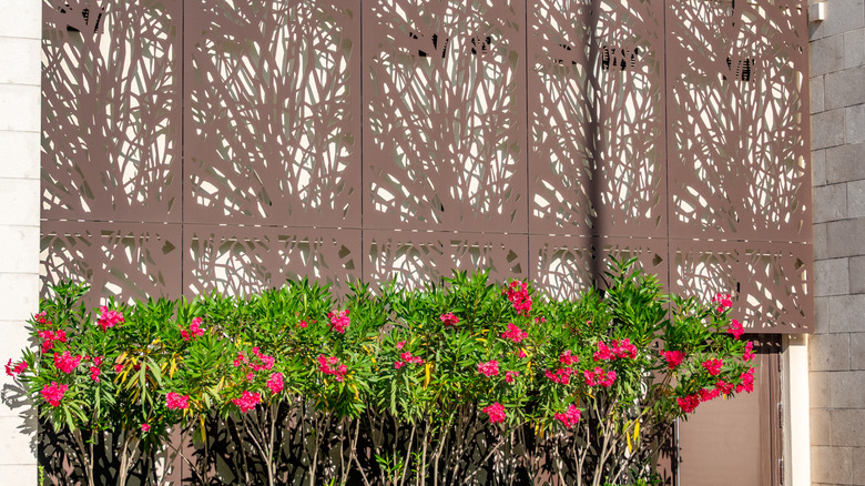 metal screen over flower bed