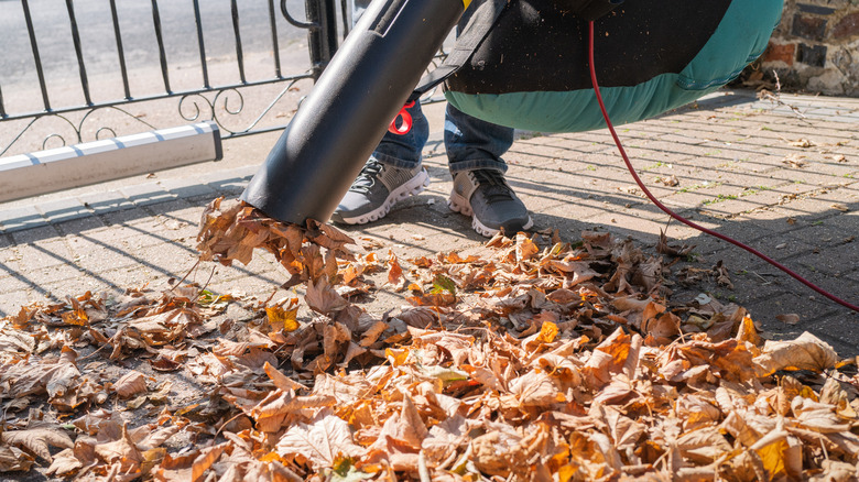 a blower/vac sucking up leaves