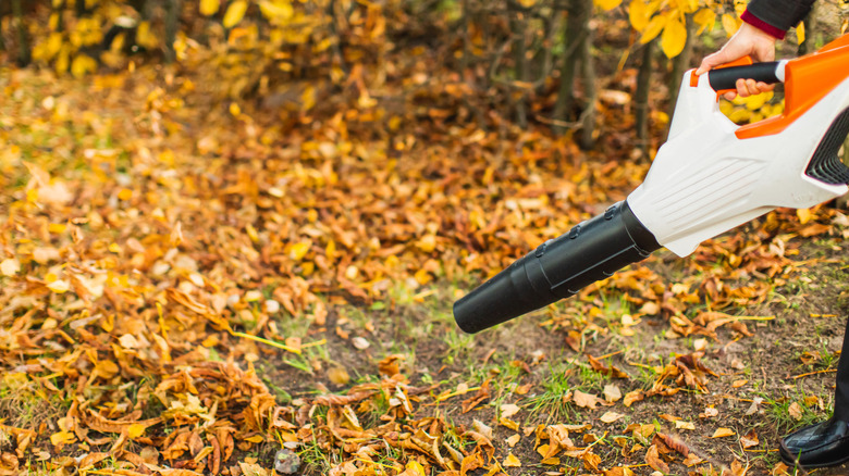 blowing leaves with a handheld leaf blower