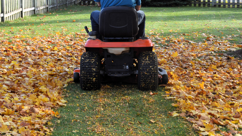 Mulching leaves with a ride-on lawn mower