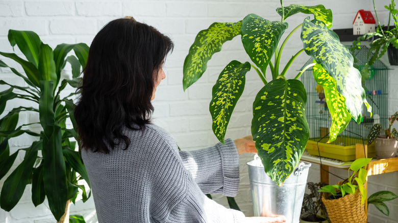 Woman holding plant in home
