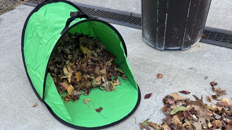 VICAMB 60-gallon pop-up leaf collector filled with fallen leaves