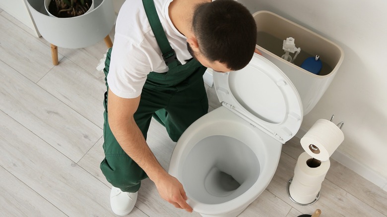 Man looking into toilet bowl as if inspecting it