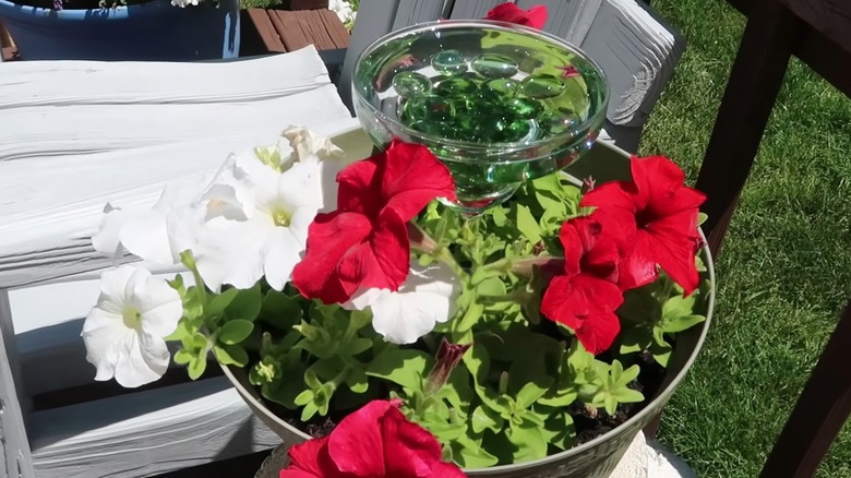 Planter containing flowers and a margarita glass with water and marbles