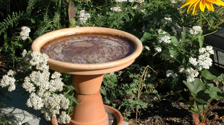 Bird bath made of terra cotta pots