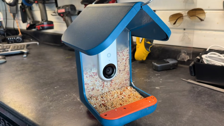 A smart bird feeder sitting on a work table