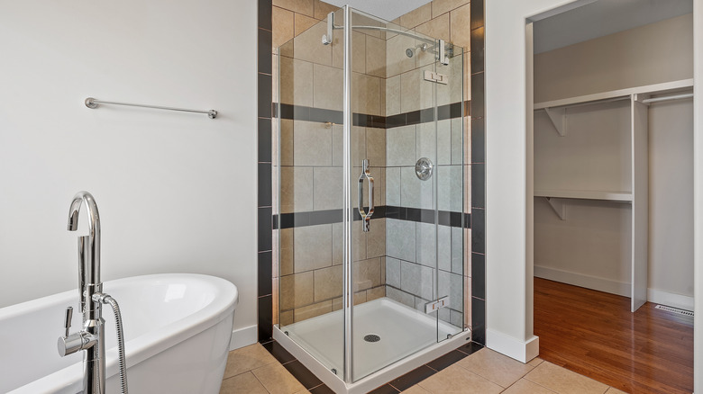 Small shower with frameless glass door and walls