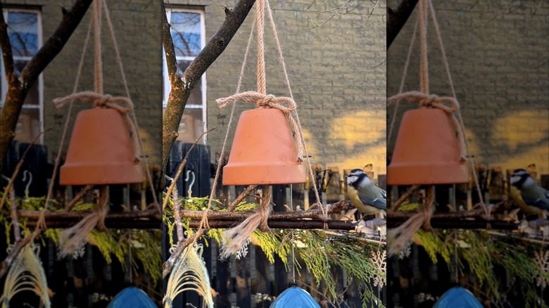 a DIY terracotta pot bird feeder