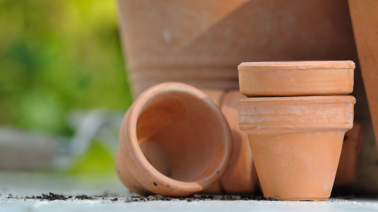 terracotta plant pots stacked in a yard