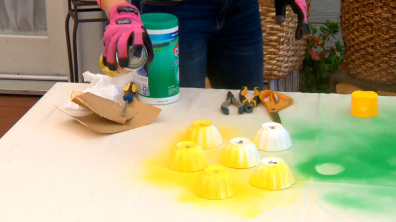 A person spraying bowls for a DIY birdfeeder