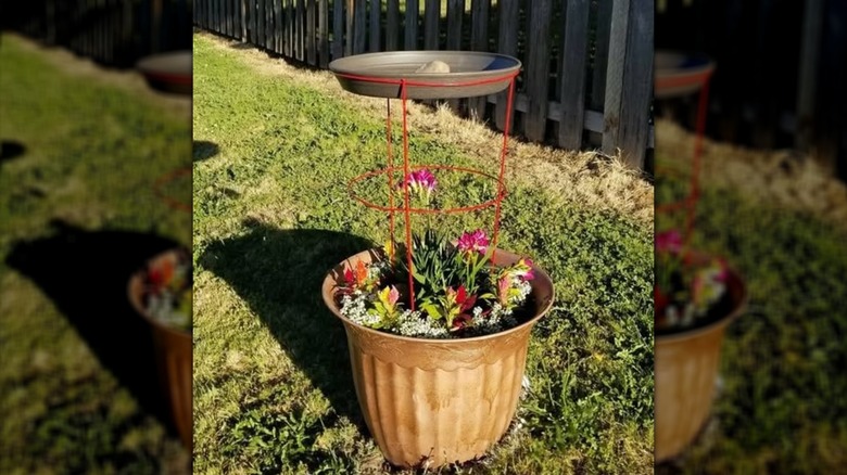 A birdbath made from a tomato cage