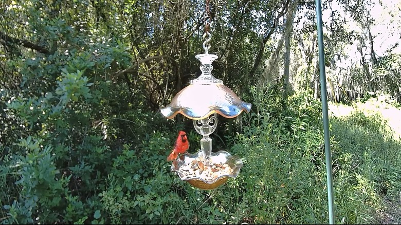 A DIY bird feeder made from thrifted glassware