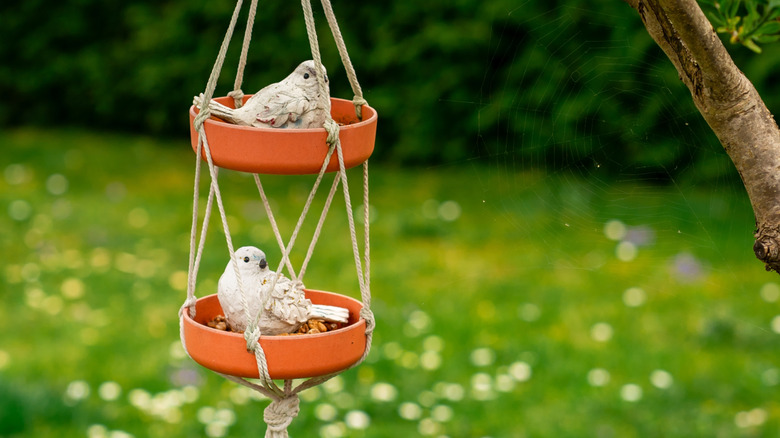 Two birds sitting in a DIY bird feeder