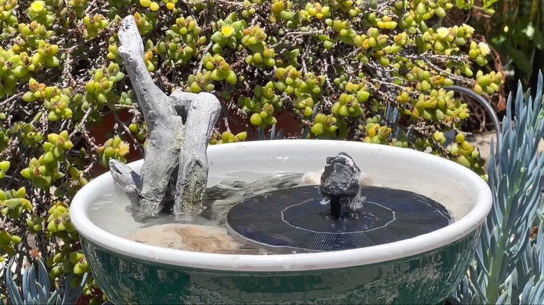 A DIY solar bird fountain made with a thrifted bowl