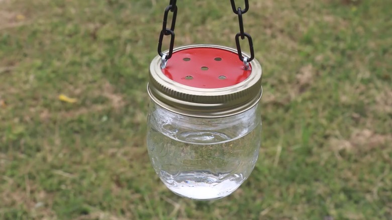 A DIY hummingbird feeder made out of a canning jar