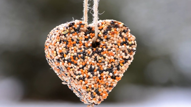 Close-up of a homemade birdseed ornament
