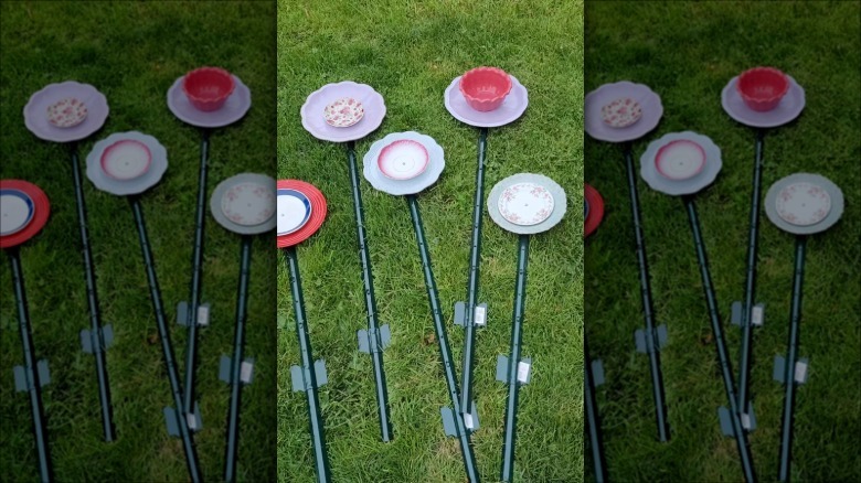 A group of five assembled plate flowers ready to placed in the garden.