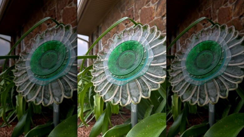 A plate flower decorating a garden.