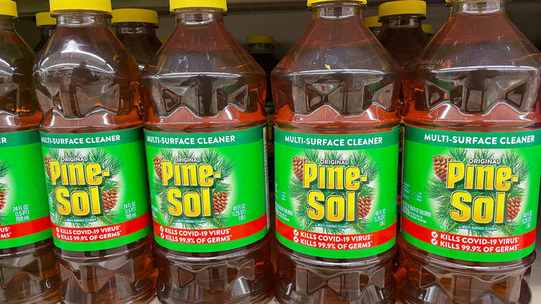 A row of Pine-Sol bottles on store shelves