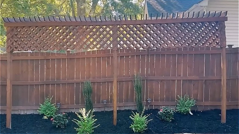 Privacy pergola fence next to a regular wood fence with mulch and plants underneath