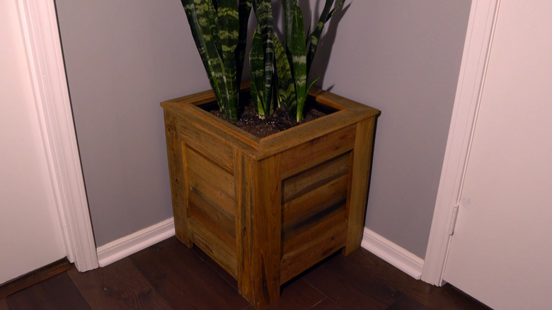 plant in a DIY planter made of pallet wood