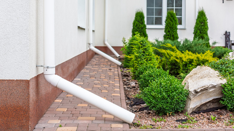 A building with white downspouts angled over a walkway into a small garden