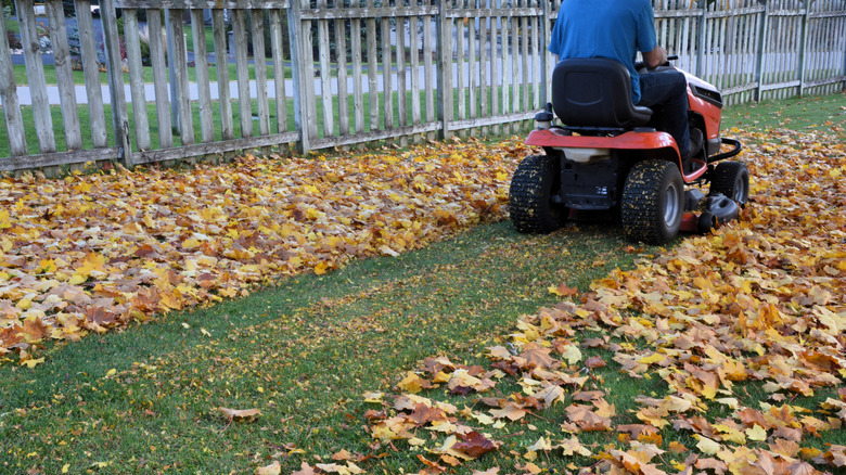 A person drives a riding lawn mower through fall leaves on the ground