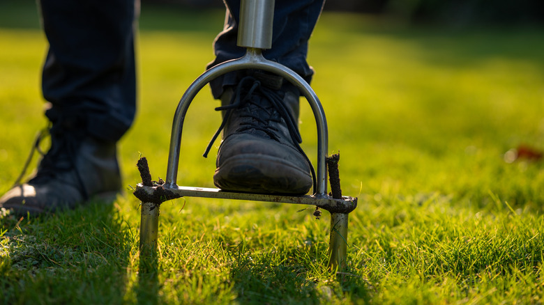 Person using manual lawn core aerator