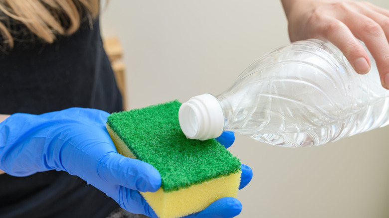 Person pouring vinegar onto a sponge for cleaning