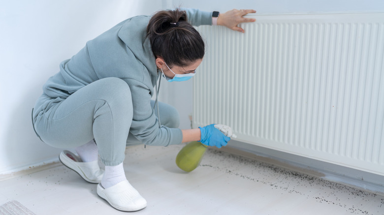 Woman spraying disinfectant onto ants on her floor