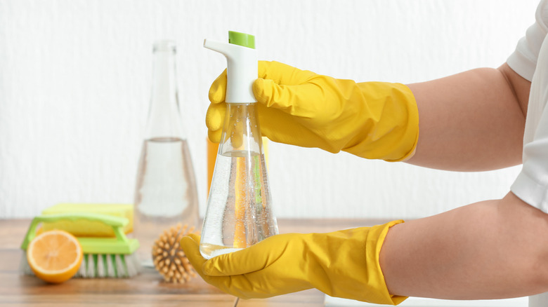 Yellow-gloved hands holding a spray bottle of white vinegar