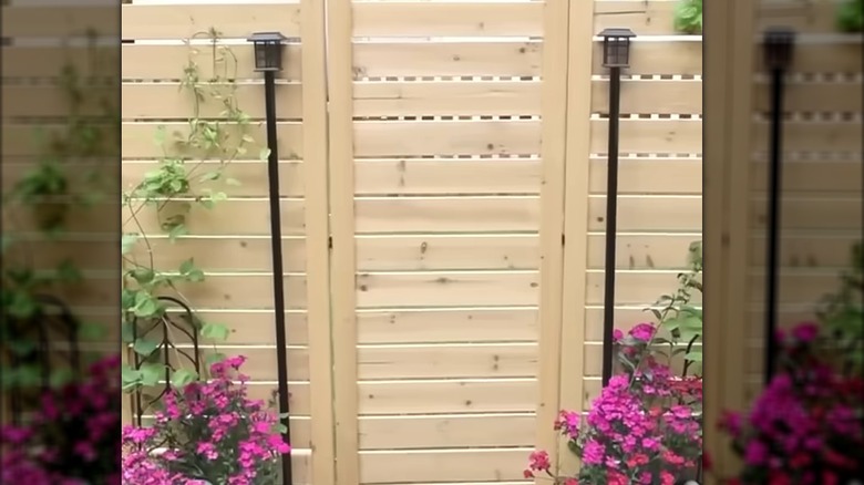 Dollar Tree lanterns in wood fence with blooming flower planters