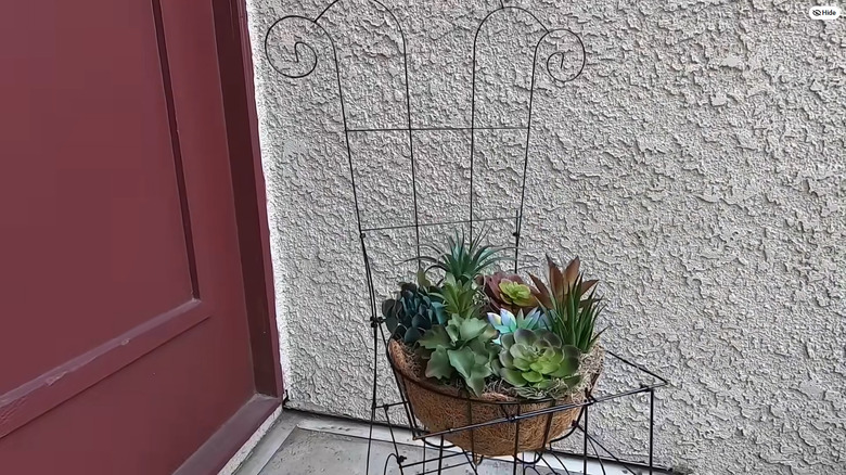 Planter chair made from Dollar Tree trellises with succulents in the middle