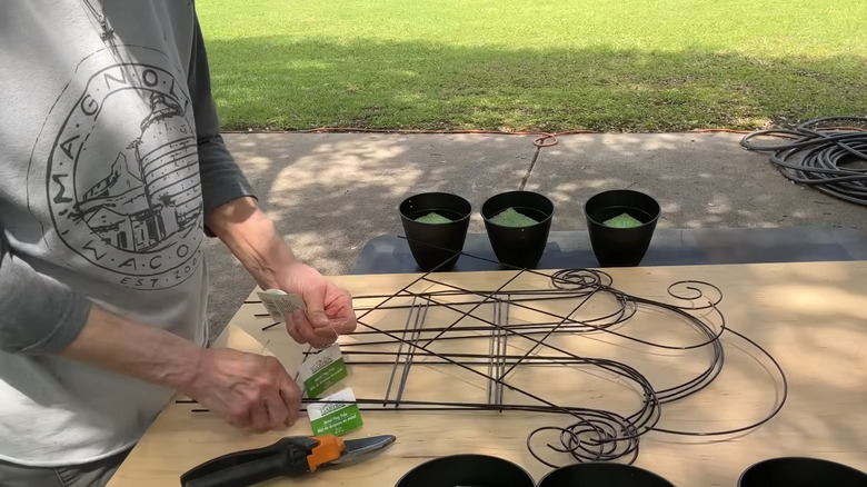 Person removing the tags from Dollar Tree trellises