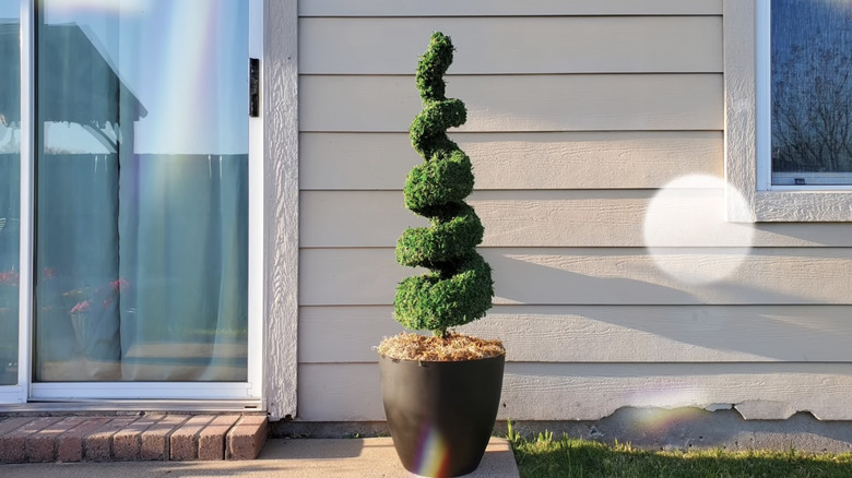 DIY spiral topiary decoration