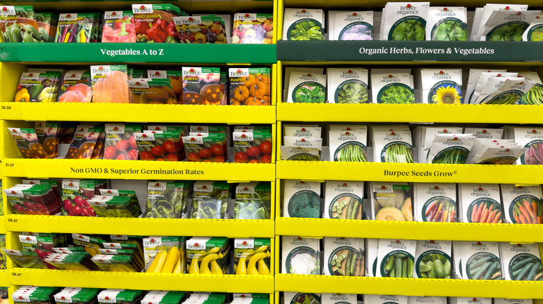 Don't Start This Herb From Seed — Buy It As A Seedling For A Quicker Harvest