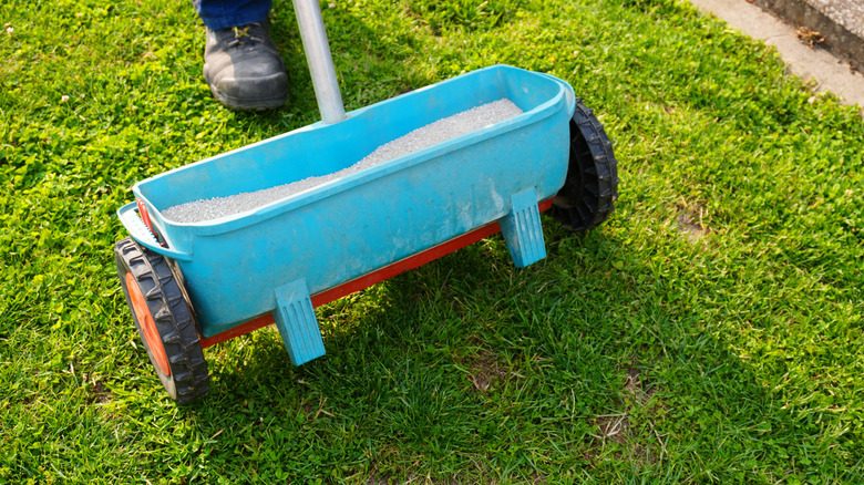 Applying fertilizer to a lawn