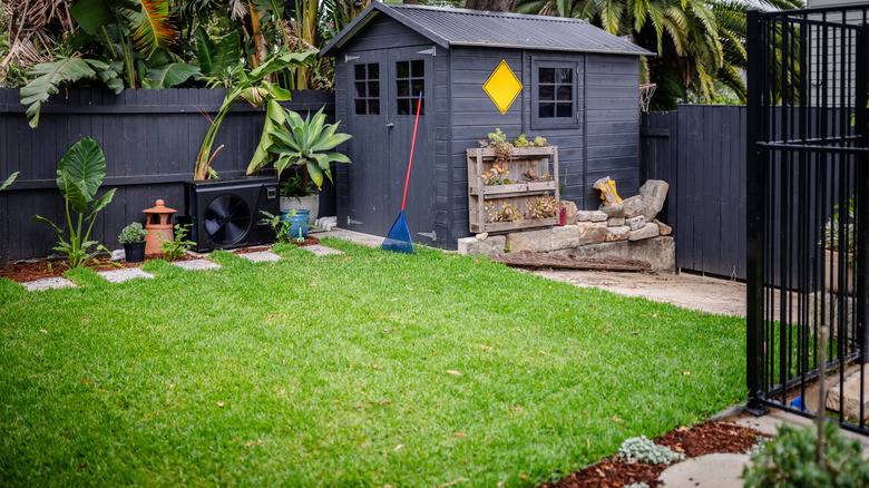 Small yard with a garden shed