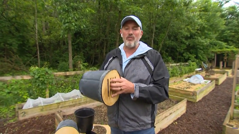 Butterfly house created from a disposable plastic pot