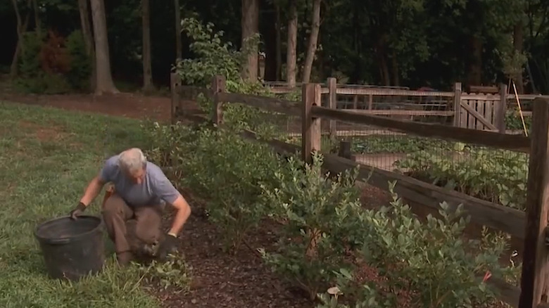 A large plastic pot used as a collection bucket