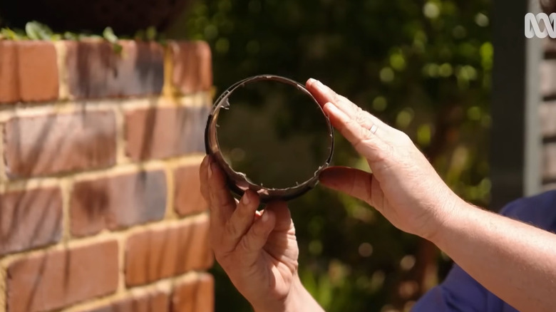 A protective seedling collar made from a plastic plant pot