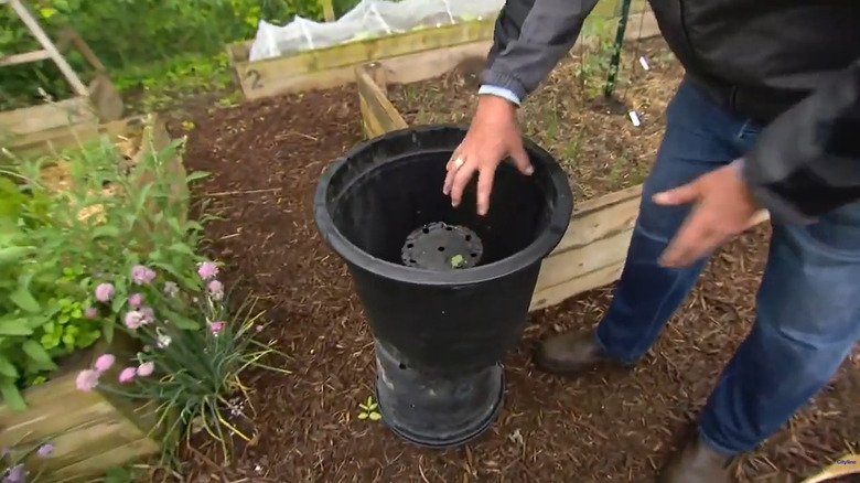 Using a pot within a pot to reduce potting soil needs