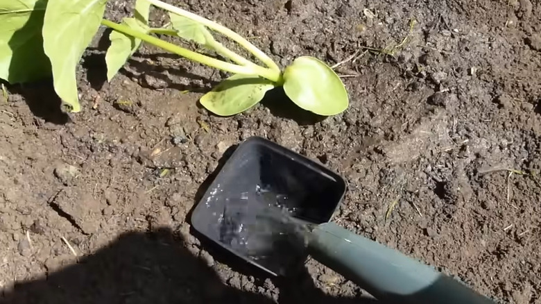 In-ground waterer made from old plastic plant pot