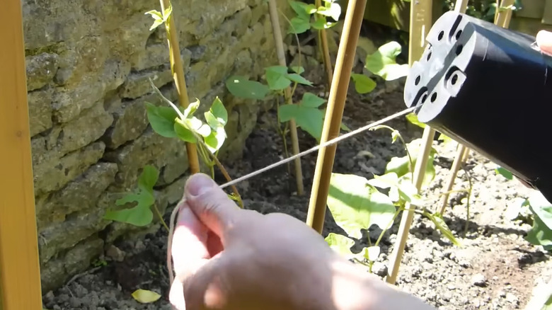 A twine dispenser made from a plastic plant pot