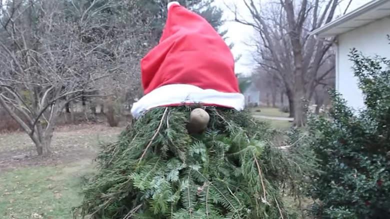 Gnome made of a tomato cage, pine branches, a hat, and a potato for a nose.