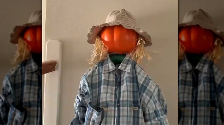 Scarecrow made of a tomato cage, clothes, pool noodles, and a plastic pumpkin
