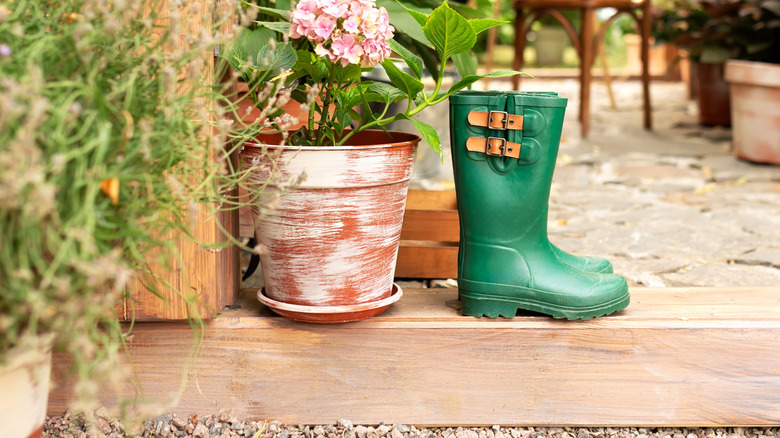 Old rubber boots on steps near a flower pot