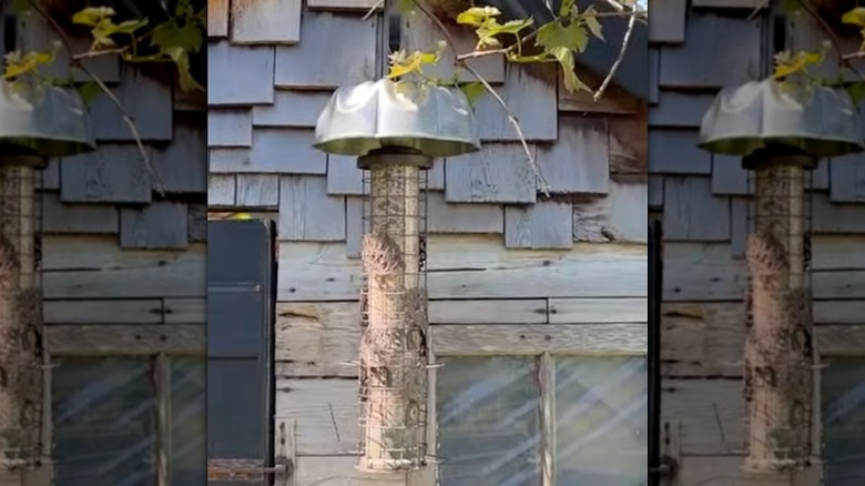 Tall bird feeder with DIY Bundt pan cover